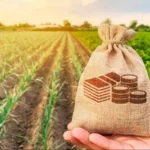 земельный налог