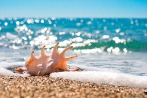 желанная прохлада