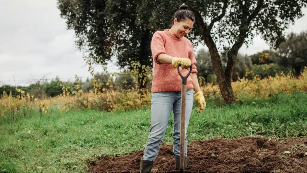 Жінка з заступом на городі