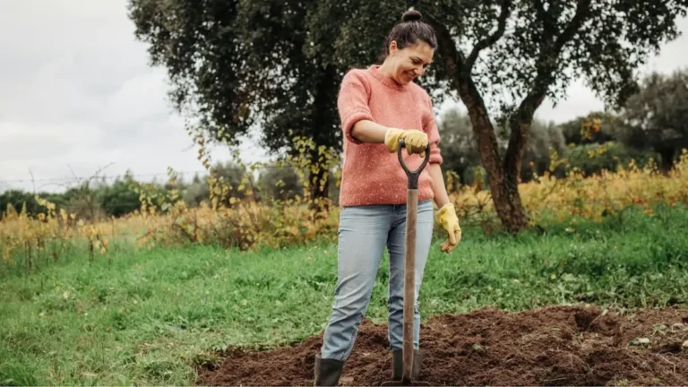 Жінка з заступом на городі
