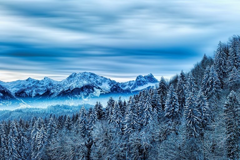 зима лес горы