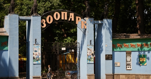 Харьковский зоопарк сделает женщинам подарок
